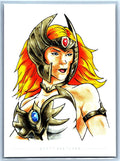She-Ra Sketch Card Scott Sketches Trading Card Print Fan Art