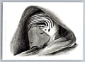 Kylo Ren Pencil Sketch Card - Scott Sketches Trading Card Print Fan Art