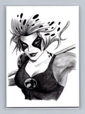 Cheetara - Pencil - Scott Sketches Trading Card Print Fan Art
