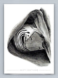 Kylo Ren - Pencil - Scott Sketches Trading Card Print Fan Art