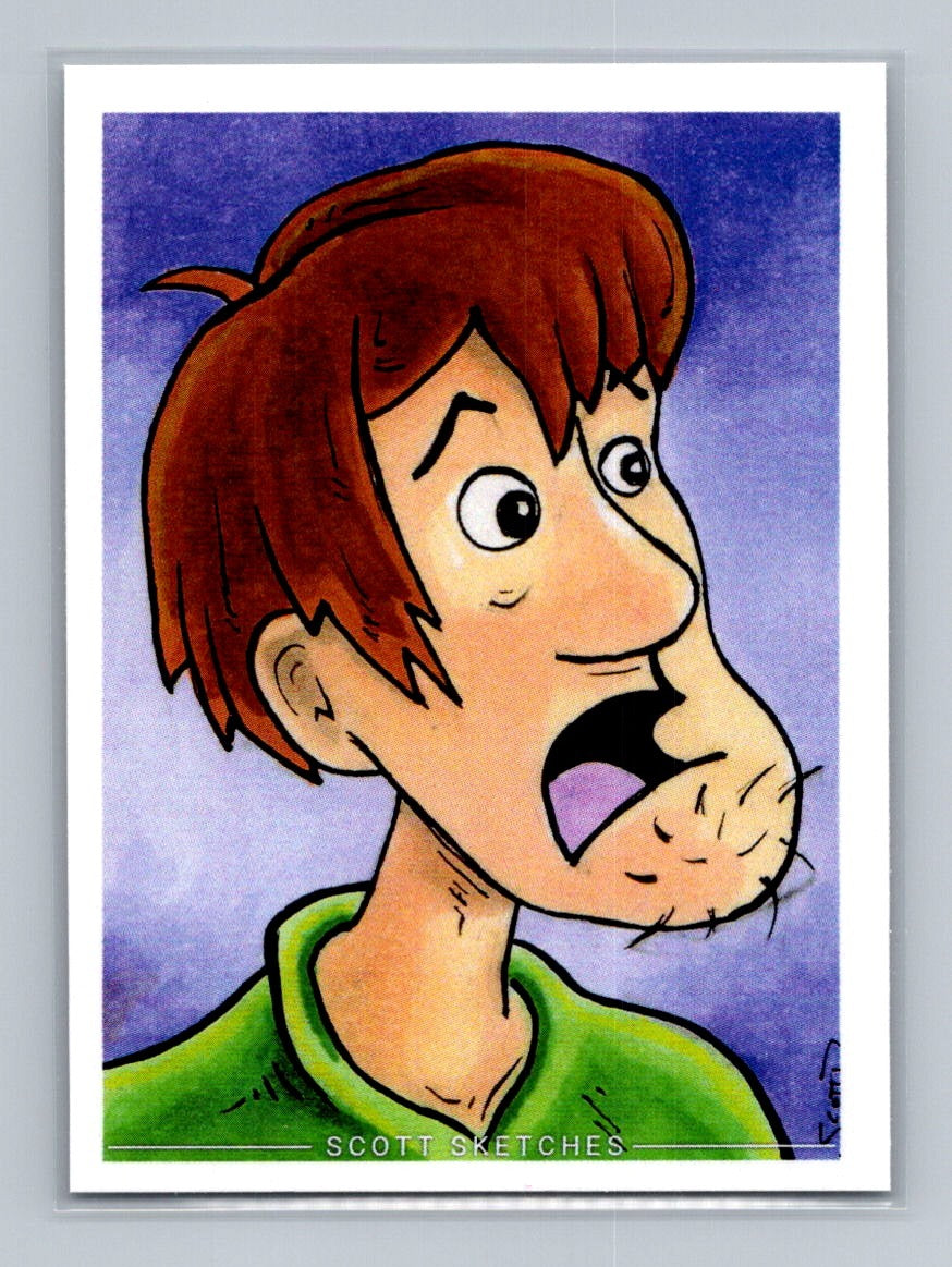 Shaggy - Scooby Doo - Scott Sketches Trading Card Print Fan Art